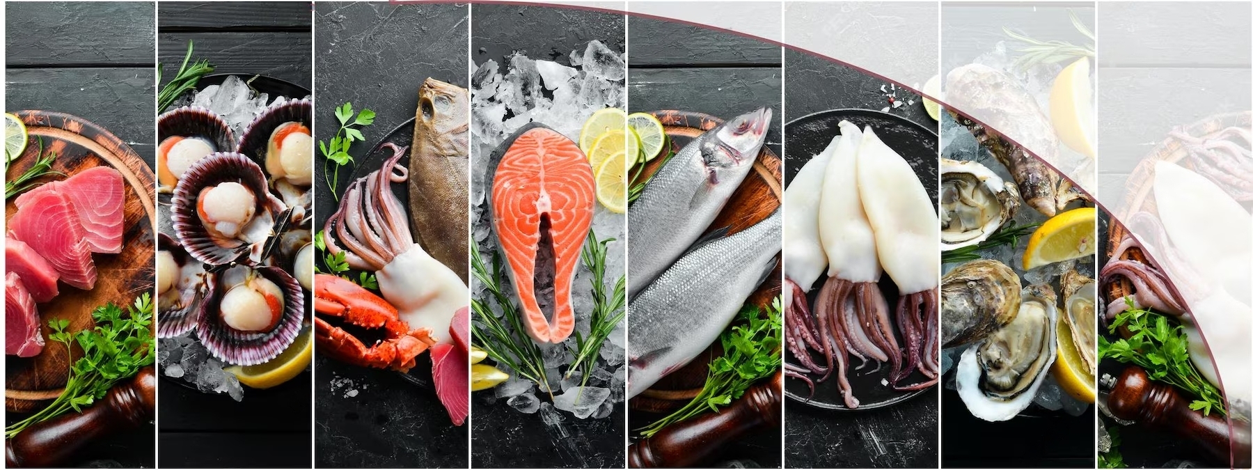Selección de pescados y mariscos frescos sobre hielo