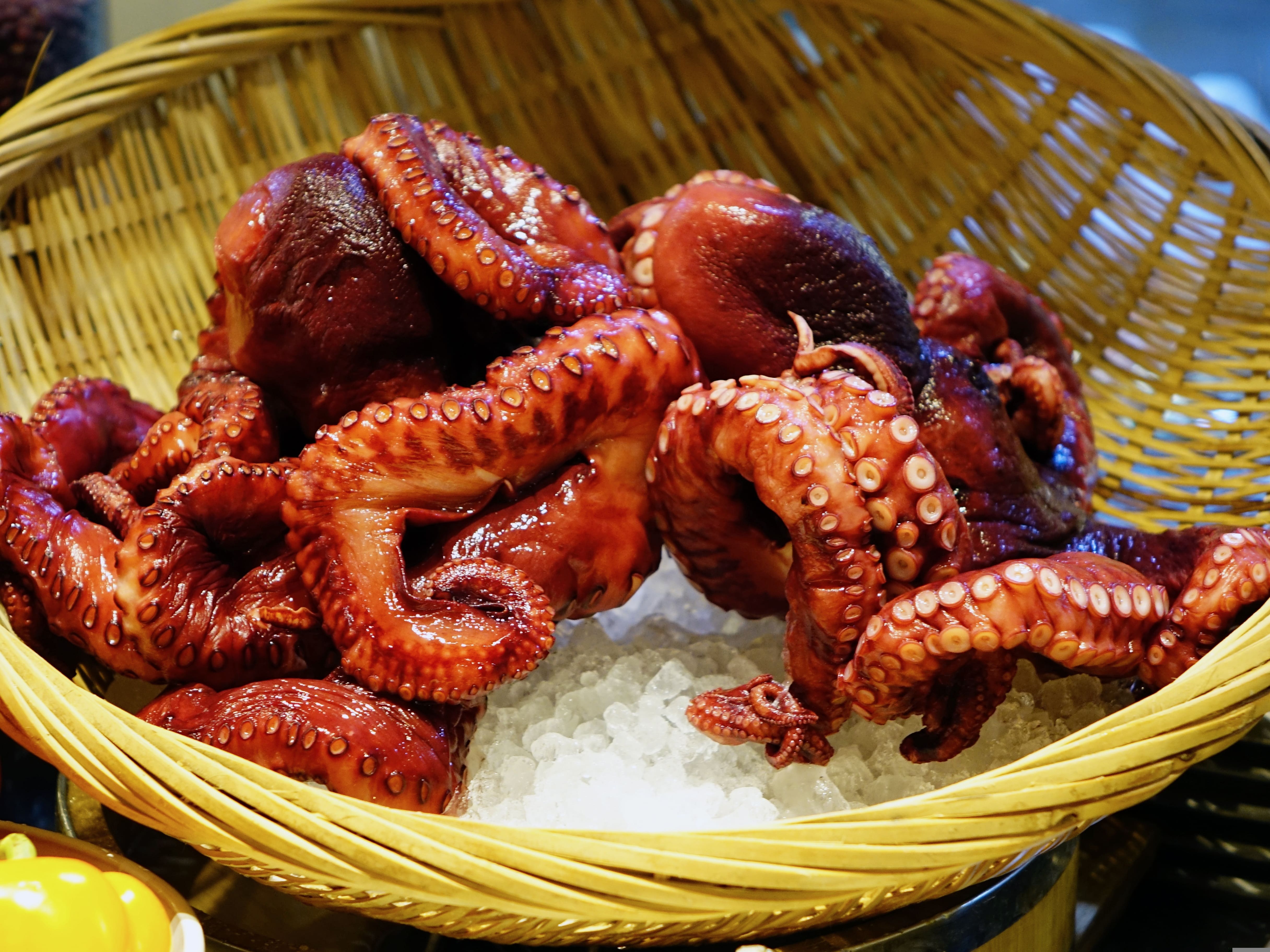 Pulpo